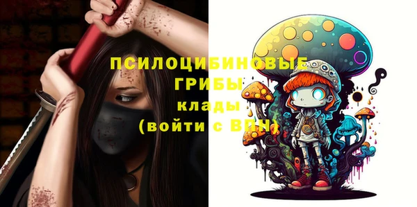 Альфа ПВП Алзамай