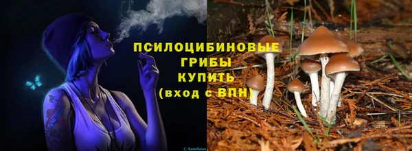 ECSTASY Алексин