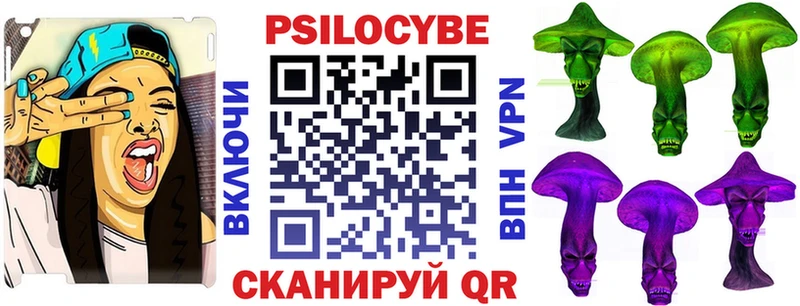 Псилоцибиновые грибы MAGIC MUSHROOMS наркошоп mega сайт Бежецк
