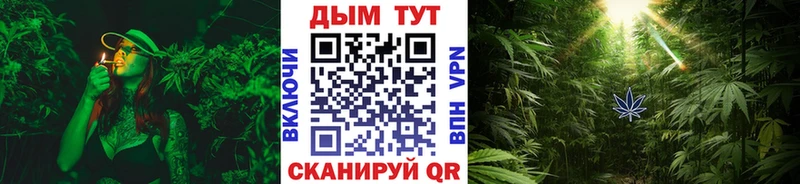 закладки Бежецк Каннабис марихуана